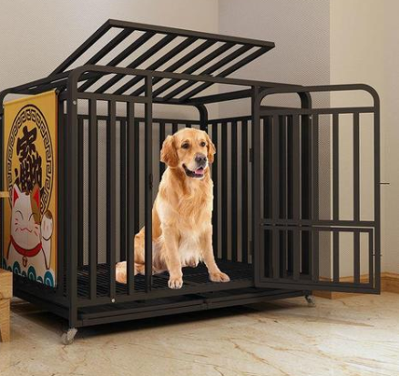 怎样挑选一个合适的狗笼子呢